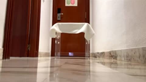 Snapshot of maximo1991 chatting on December 14, 2025, 6:19 am maximo1991 online show from December 14, 2025, 6:19 am