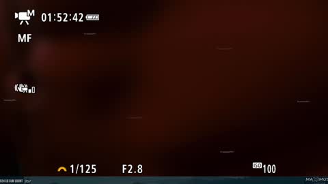 Snapshot of maximus_787 chatting on January 31, 2025, 11:35 pm Maximus7871 online show from January 31, 2025, 11:35 pm