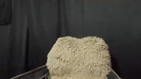 Snapshot of maximus_oreally chatting on January 7, 2025, 11:16 am Max online show from January 7, 2025, 11:16 am