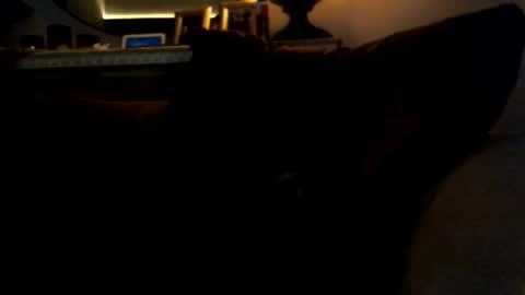 Maxx Cawke online show from October 21, 2025, 10:43 pm