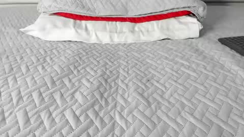 Maybelline69 online show from March 12, 2026, 8:09 am