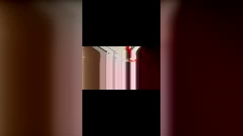 mcgriffwes2 online show from February 12, 2026, 2:17 am