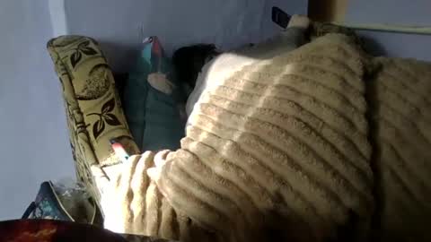 Snapshot of medjik_lool chatting on January 10, 2025, 8:40 am Oltereodora-lima online show from January 10, 2025, 8:40 am