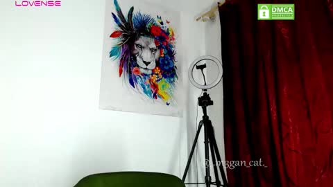 megan_cat online show from November 11, 2025, 11:21 am