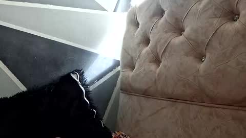 Snapshot of megan_coop3r_ chatting on October 20, 2025, 1:33 pm Megan and sophi online show from October 20, 2025, 1:33 pm