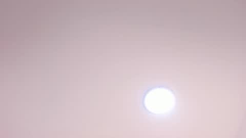 Carolina Paez online show from December 10, 2024, 10:58 pm