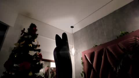    online show from December 8, 2024, 3:53 am