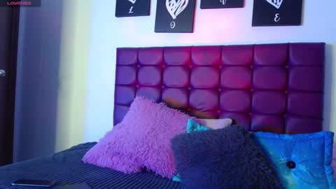 Snapshot of megan_lr chatting on December 31, 2024, 3:55 am Valentina online show from December 31, 2024, 3:55 am