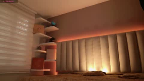     online show from November 15, 2025, 12:13 pm