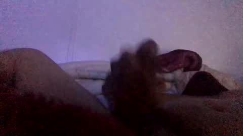Snapshot of megustajalarmela chatting on February 3, 2026, 6:51 am Mijo online show from February 3, 2026, 6:51 am