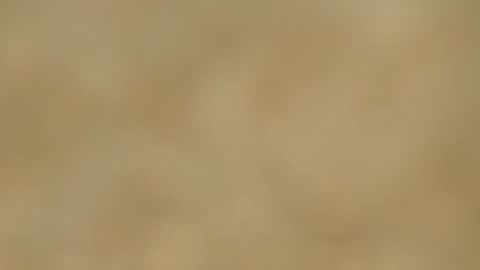 Snapshot of melania_browis chatting on January 15, 2025, 2:46 pm Melania online show from January 15, 2025, 2:46 pm