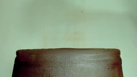 Snapshot of melania_browis chatting on June 26, 2026, 5:28 pm Melania online show from June 26, 2026, 5:28 pm