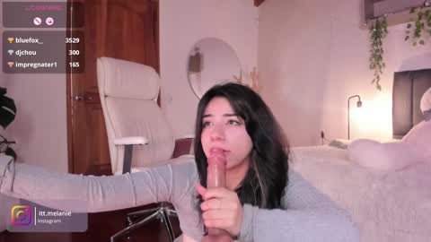 Snapshot of melanie_owo chatting on December 26, 2024, 4:47 pm Melanie online show from December 26, 2024, 4:47 pm