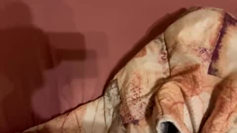 melissa9040 online show from February 9, 2026, 11:20 pm