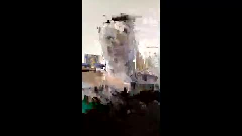 Snapshot of melissaknowles46 chatting on February 1, 2026, 12:59 pm melissaknowles46 online show from February 1, 2026, 12:59 pm