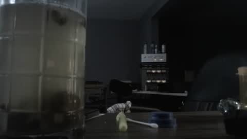 Snapshot of memberjames chatting on October 21, 2025, 12:44 am I am usually high and horny...lol online show from October 21, 2025, 12:44 am