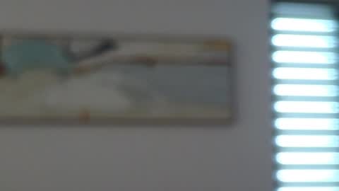 Mencialo online show from May 10, 2026, 4:39 am