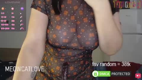 Snapshot of meowcatlove chatting on January 21, 2025, 8:32 pm meowcatlove online show from January 21, 2025, 8:32 pm