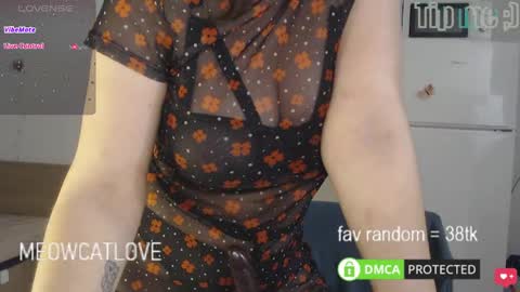 Snapshot of meowcatlove chatting on March 4, 2025, 7:43 pm meowcatlove online show from March 4, 2025, 7:43 pm