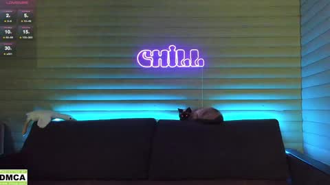 Snapshot of meowluv chatting on January 6, 2025, 5:08 am  NIKKY  STIVE     Every day from 1000  to 200  EST time. online show from January 6, 2025, 5:08 am