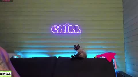 Snapshot of meowluv chatting on January 11, 2025, 3:31 pm  NIKKY  STIVE     Every day from 1000  to 200  EST time. online show from January 11, 2025, 3:31 pm