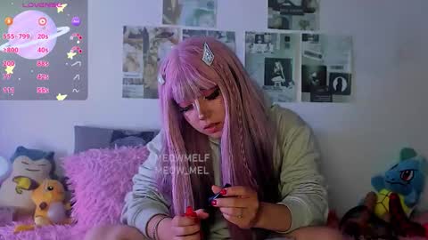 meowmelf online show from February 6, 2026, 6:44 pm