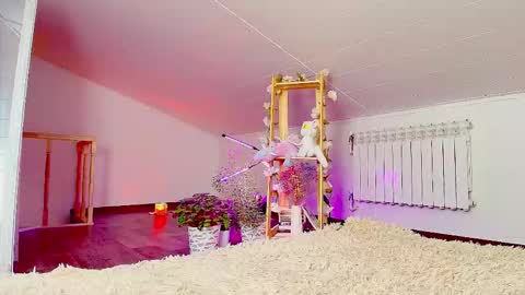 meowroslava online show from November 14, 2025, 9:30 am