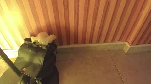 mia__blaze_ online show from February 5, 2026, 3:00 am