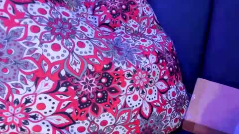 MIA online show from October 8, 2025, 10:57 am