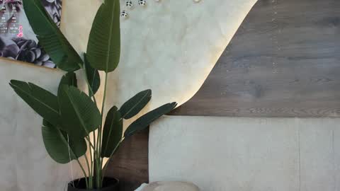 mia_lacy online show from December 12, 2024, 10:31 pm