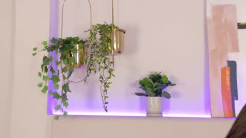 mia_oconner online show from December 31, 2024, 2:14 pm