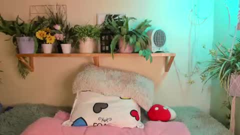 Miaa online show from June 19, 2026, 4:22 pm