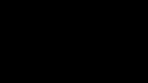 MIA  online show from February 13, 2026, 12:39 am