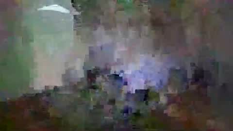 Snapshot of miagomezx chatting on February 14, 2026, 12:02 pm miagomezx online show from February 14, 2026, 12:02 pm