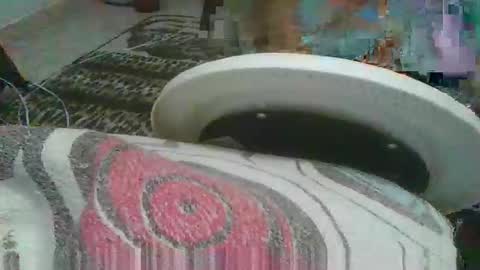 Snapshot of miagomezx chatting on February 17, 2026, 4:42 am miagomezx online show from February 17, 2026, 4:42 am