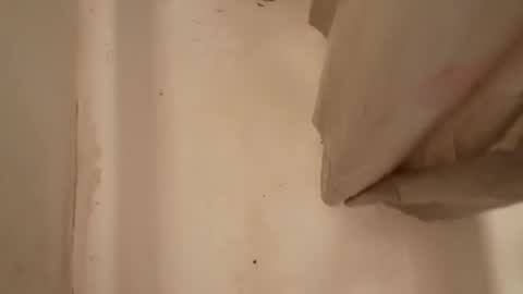 Playerz R Us online show from March 22, 2026, 7:50 pm