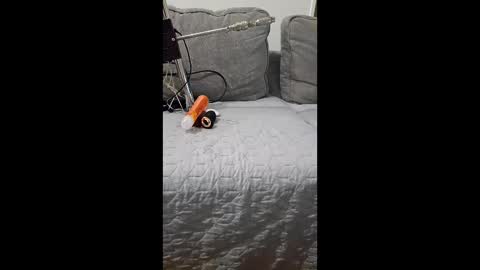 mickal89378933 online show from May 8, 2026, 12:43 pm