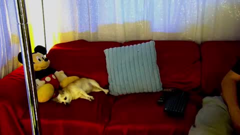 Snapshot of mickeyshyne69 chatting on February 28, 2025, 12:43 am Mickey online show from February 28, 2025, 12:43 am