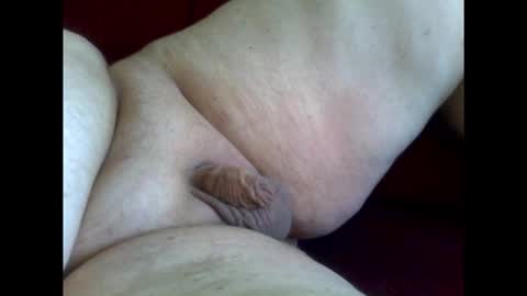 micropimmel online show from January 18, 2026, 12:53 pm