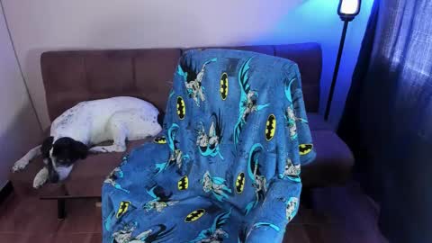 Blue online show from September 19, 2025, 3:34 pm