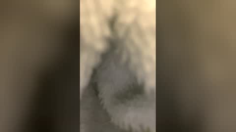 Snapshot of mig26472 chatting on February 15, 2026, 5:04 am mig26472 online show from February 15, 2026, 5:04 am