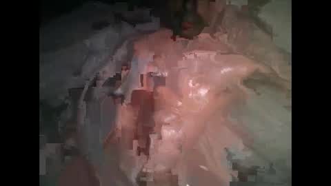 Snapshot of mikeybello chatting on January 13, 2025, 3:12 am MR-Michael Horse online show from January 13, 2025, 3:12 am