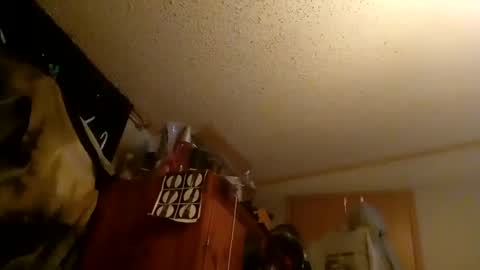 Snapshot of mikeymike974034420 chatting on September 22, 2025, 2:13 am mikeymike974034420 online show from September 22, 2025, 2:13 am