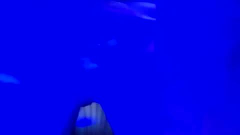 Snapshot of mikie19891 chatting on November 16, 2025, 3:01 am mikie19891 online show from November 16, 2025, 3:01 am