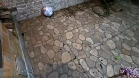 miky17cm online show from January 15, 2026, 5:01 am