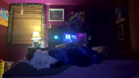 mil8207 online show from December 17, 2025, 5:57 am