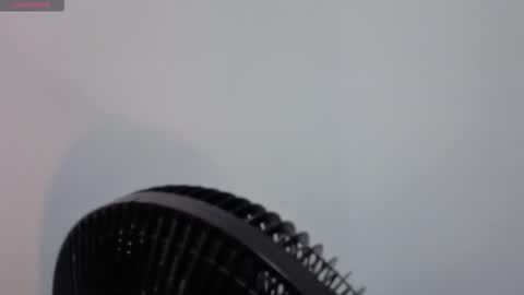 DANIELA online show from December 21, 2025, 9:11 pm