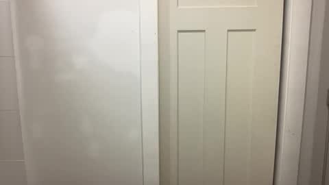 HungCollege online show from December 20, 2025, 4:19 am