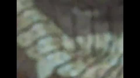 Snapshot of milfpussyeatdeep chatting on December 31, 2024, 9:06 pm milfpussyeatdeep online show from December 31, 2024, 9:06 pm