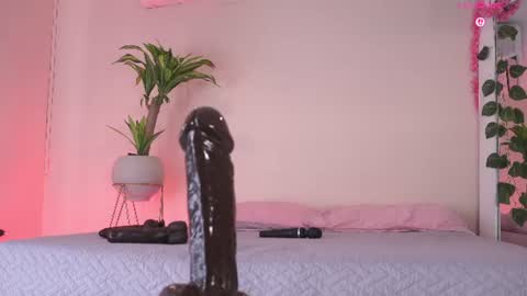    online show from June 24, 2026, 2:38 pm